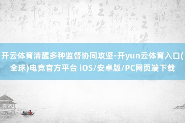 开云体育清醒多种监督协同攻坚-开yun云体育入口(全球)电竞官方平台 iOS/安卓版/PC网页端下载